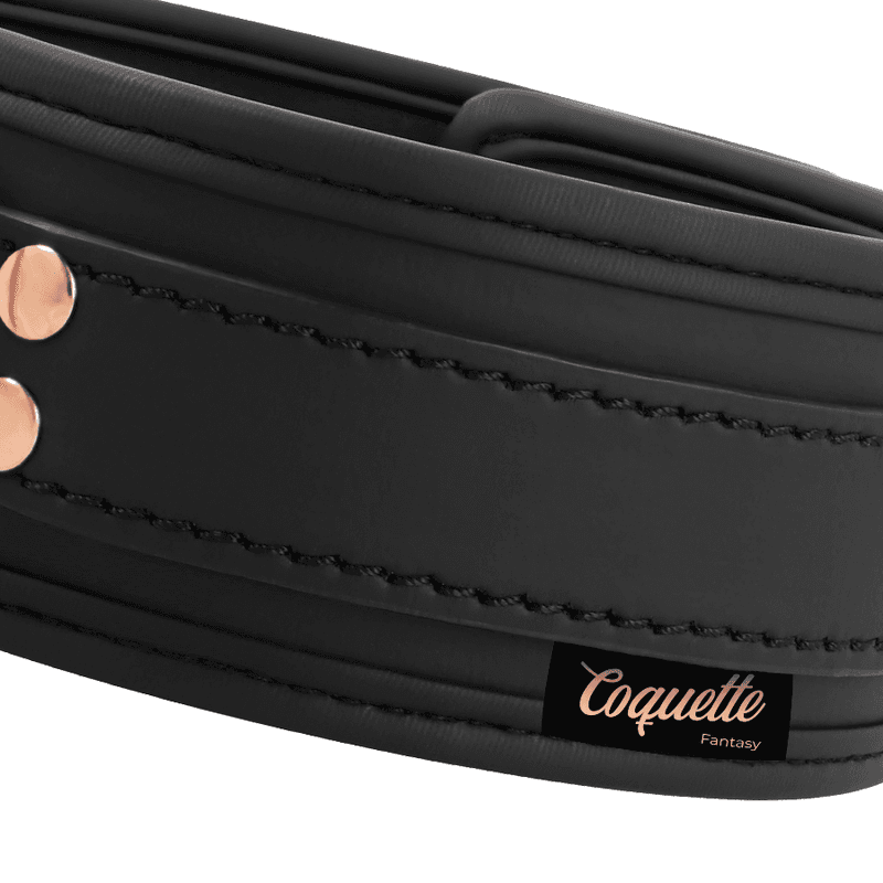COQUETTE CHIC DESIRE - FANTASY VEGAN LEATHER COLLAR WITH NEOPRENE LINING thumb 7