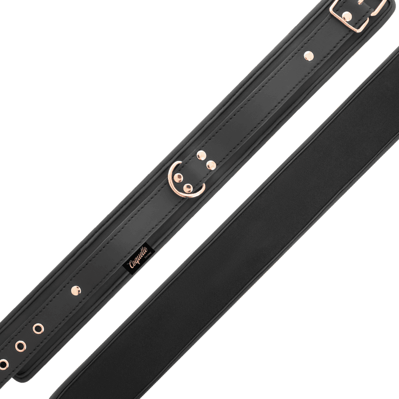 COQUETTE CHIC DESIRE - FANTASY VEGAN LEATHER COLLAR WITH NEOPRENE LINING thumb 8