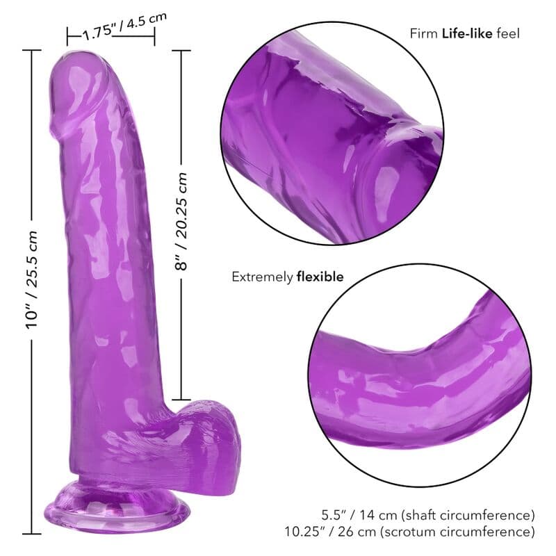 CALEXOTICS - SIZE QUEEN DILDO PURPLE 20.3 CM thumb 5