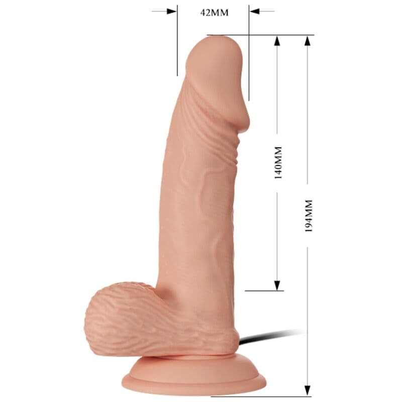 BAILE - BEAUTIFUL ENCOUNTER ZEBULON VIBRATION 19.4 CM NATURAL thumb 5