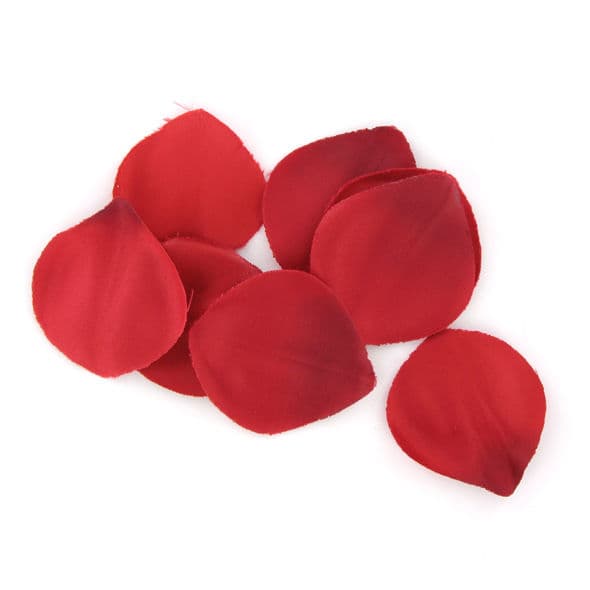 EXTASE SENSUAL - RED TEMPTATION CHEST thumb 4