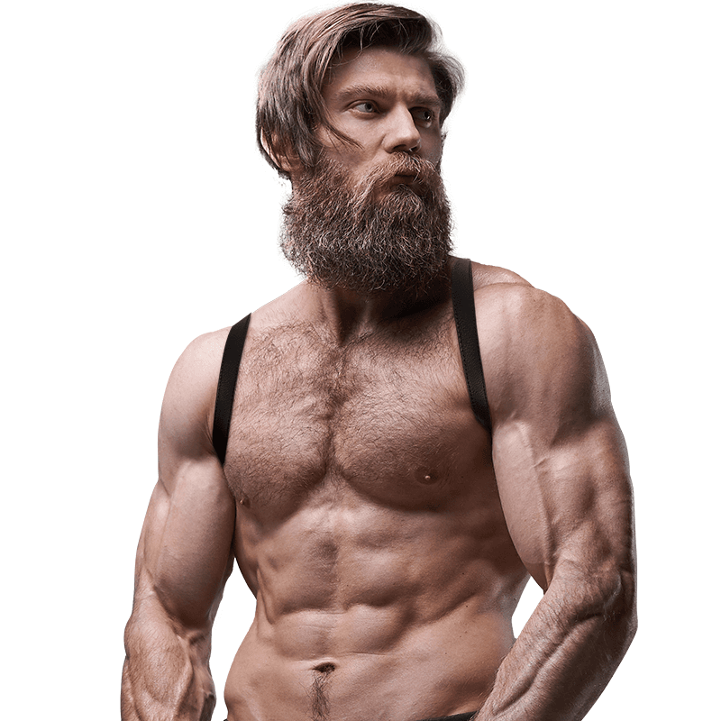 FETISH SUBMISSIVE ATTITUDE - MENS ECO-LEATHER BACK HARNESS thumb 4
