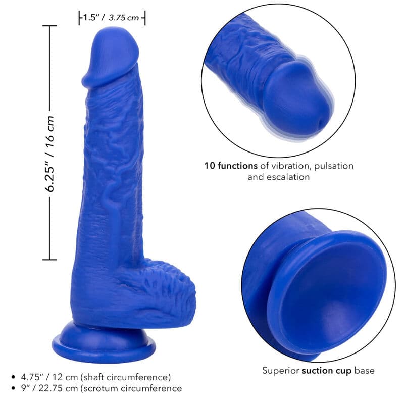 CALEXOTICS - ADMIRAL SAILOR REALISTIC DILDO VIBRATOR BLUE thumb 4