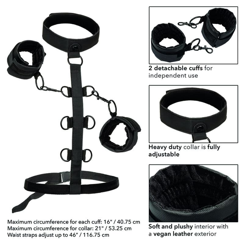 CALEXOTICS - BOUNDLESS COLLAR BODY RESTRAINT thumb 6