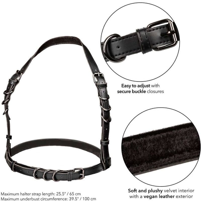CALEXOTICS - EUPHORIA HALTER BUCKLE HARNESS BLACK thumb 5