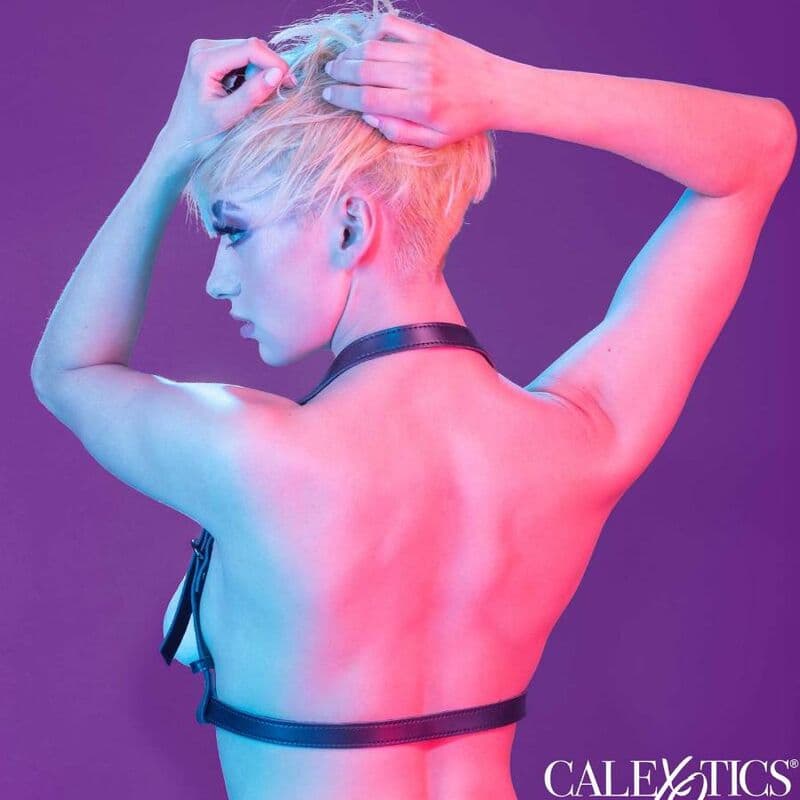 CALEXOTICS - EUPHORIA HALTER BUCKLE HARNESS BLACK thumb 6