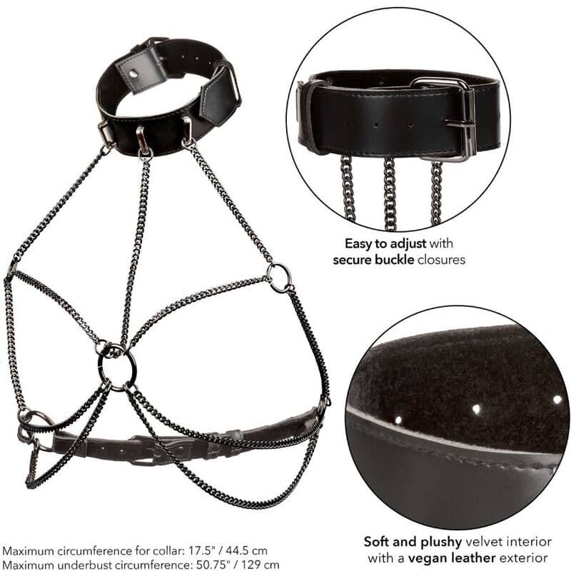 CALEXOTICS - EUPHORIA PLUS SIZE MULTI CHAIN COLLAR HARNESS thumb 5