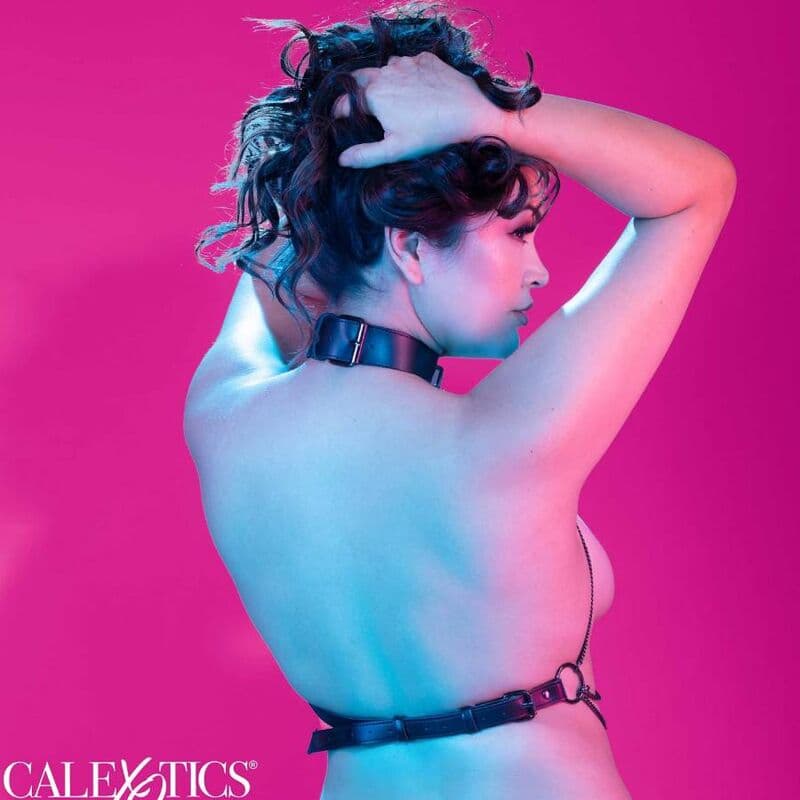 CALEXOTICS - EUPHORIA PLUS SIZE MULTI CHAIN COLLAR HARNESS thumb 6