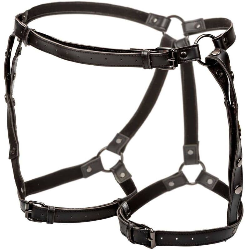 CALEXOTICS - EUPHORIA PLUS SIZE RIDING THIGH HARNESS thumb 4