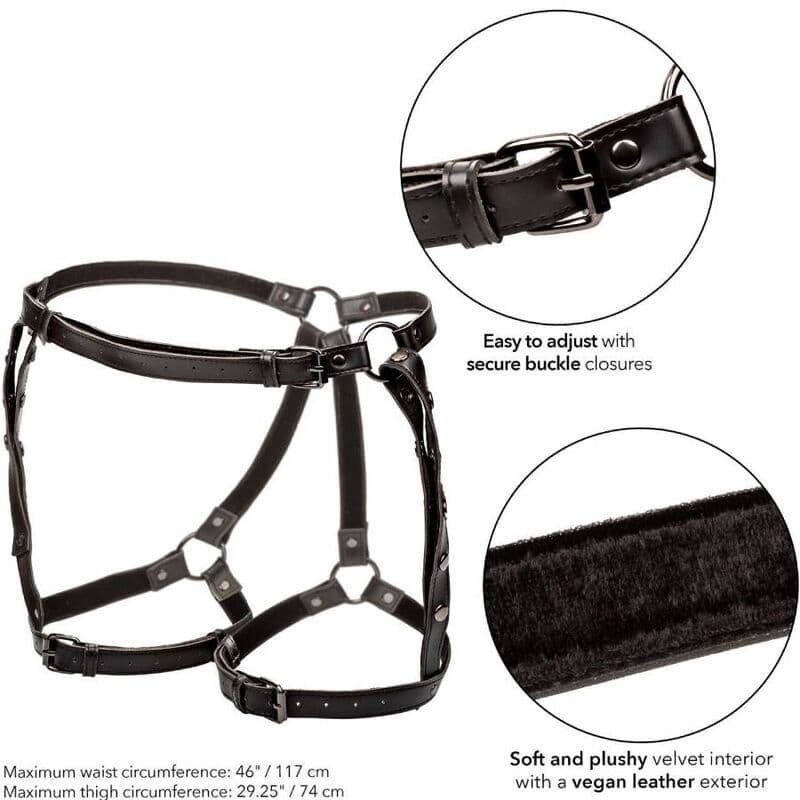 CALEXOTICS - EUPHORIA PLUS SIZE RIDING THIGH HARNESS thumb 5