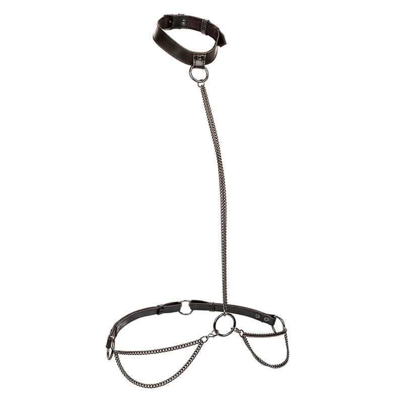 CALEXOTICS - EUPHORIA CHAIN HALTER COLLAR & LEASH thumb 2