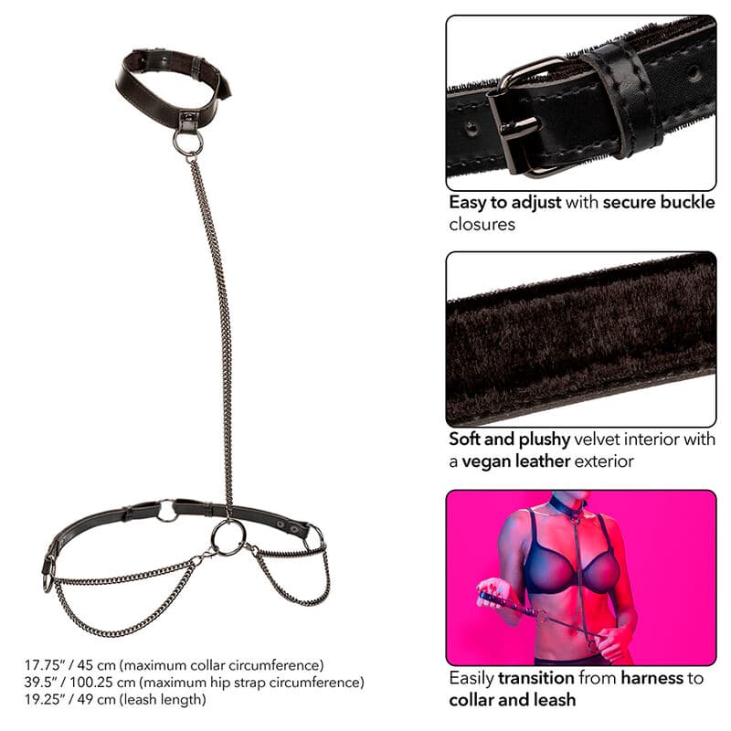 CALEXOTICS - EUPHORIA CHAIN HALTER COLLAR & LEASH thumb 3