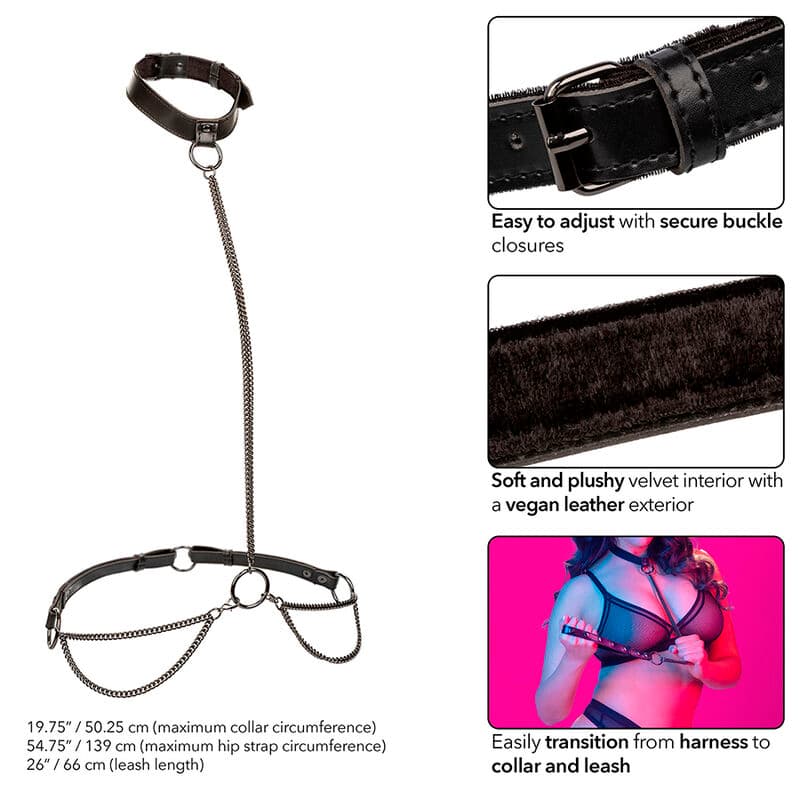 CALEXOTICS - EUPHORIA CHAIN HALTER COLLAR & LEASH PLUS SIZE thumb 5