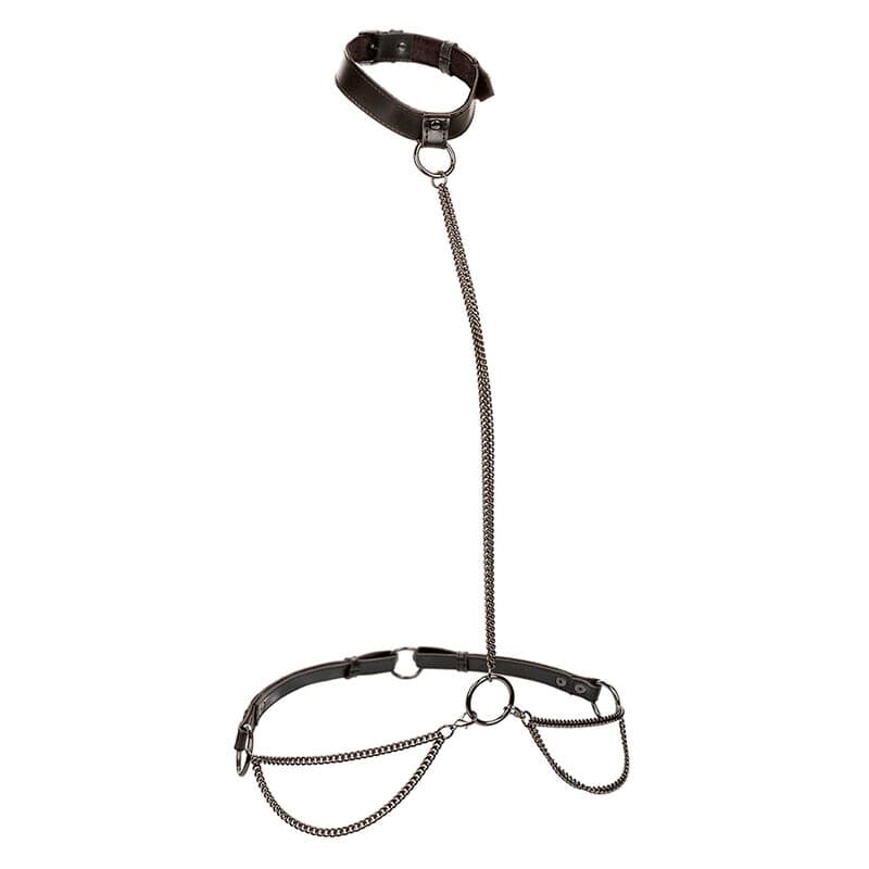 CALEXOTICS - EUPHORIA CHAIN HALTER COLLAR & LEASH PLUS SIZE thumb 2