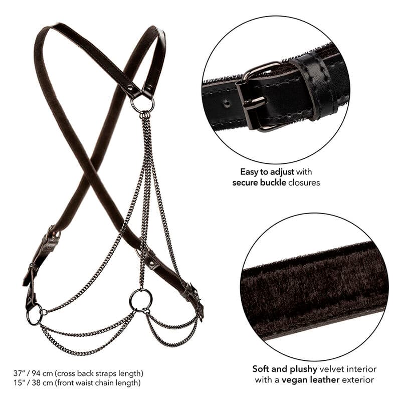 CALEXOTICS - EUPHORIA MULTICHAIN HARNESS PREMIUM thumb 3