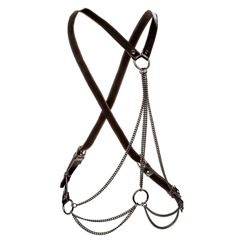 CALEXOTICS - EUPHORIA MULTICHAIN HARNESS PREMIUM PLUS SIZE thumb 2