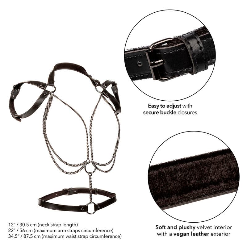 CALEXOTICS - EUPHORIA MULTICHAIN HALTER HARNESS PREMIUM thumb 3