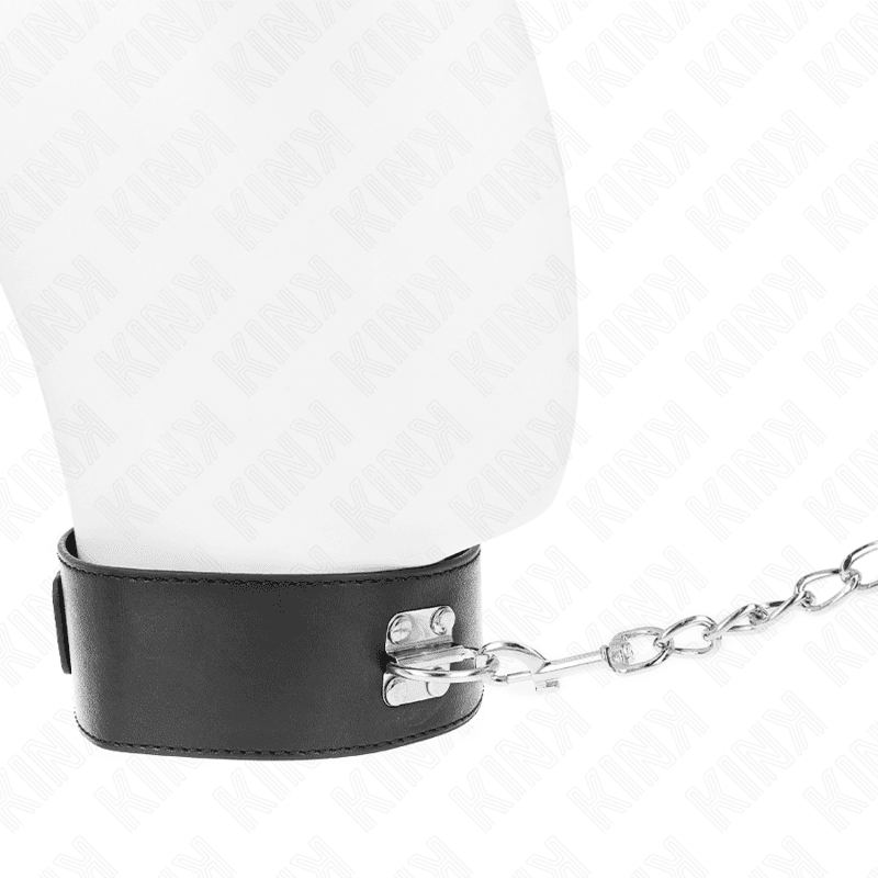 KINK - BASIC MODEL COLLAR WITH LEASH 65 CM MODEL 0 thumb 3