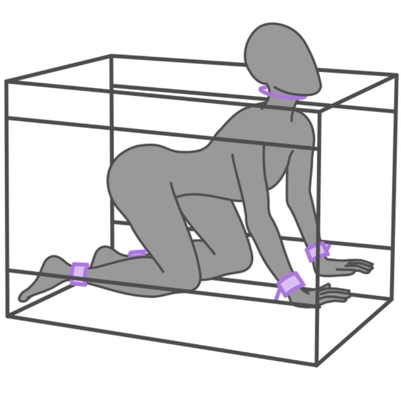 SECRET DOME - KINK CLUB LA NICHE CABIN PURPLE thumb 4
