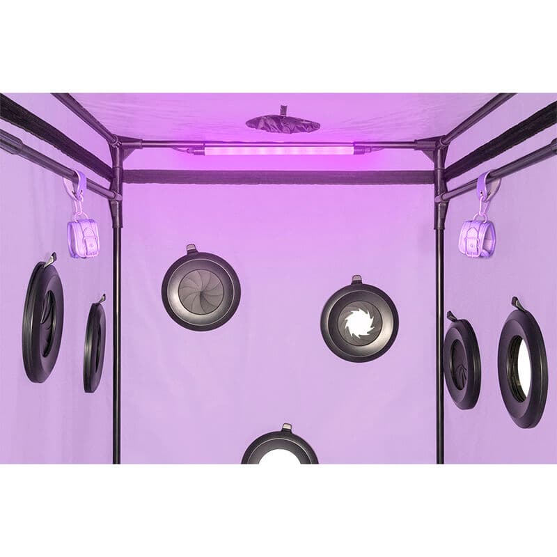 SECRET DOME - KINK CLUB CABIN SCANDALE PURPLE thumb 19