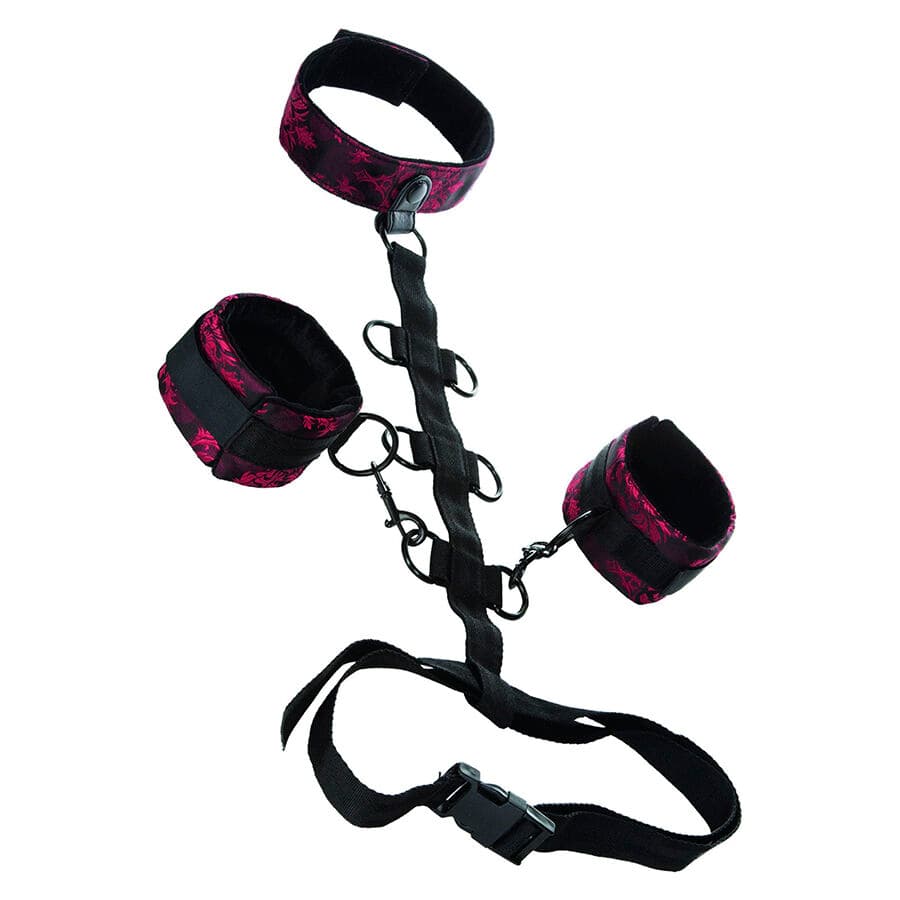 CALEXOTICS - SCANDAL COMPORAL SUPPORT WITH NECK