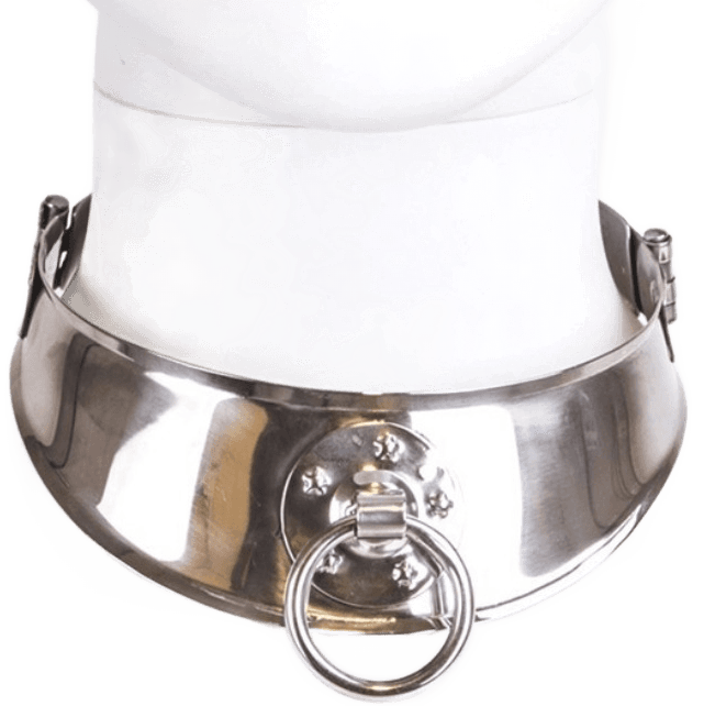 METAL HARD - RESTRAINT COLLAR WITH RING