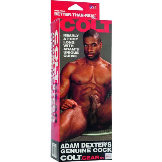 CALEXOTICS - COLT ADAM DEXTERS COCK thumb 2
