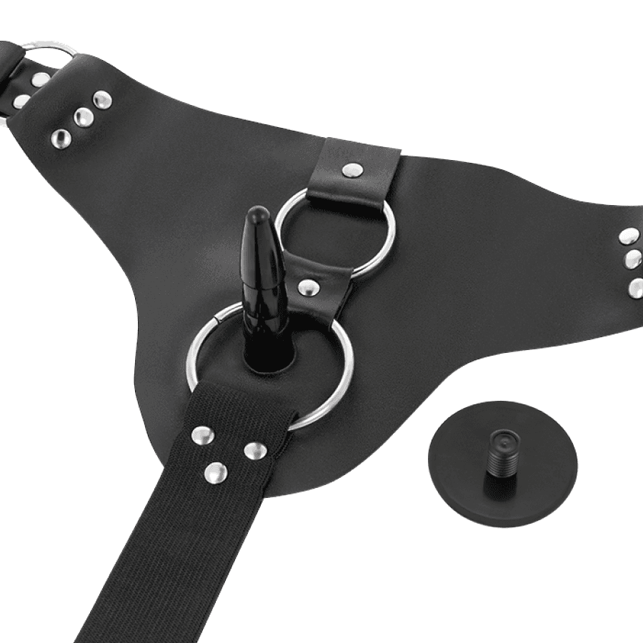 HARNESS ATTRACTION - RNES TAYLOR DELUXE 18 CM -O- 4.5 CM thumb 5