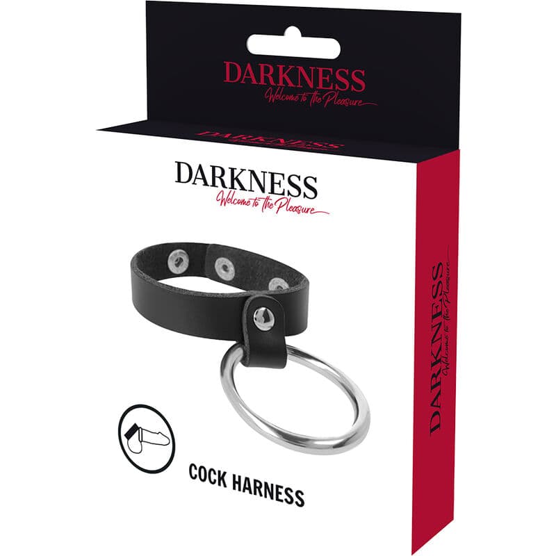 DARKNESS - METAL RING FOR THE PENIS AND TESTICLES thumb 5